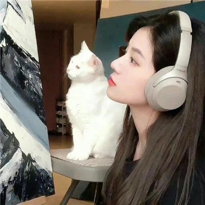 宿敌 第一季